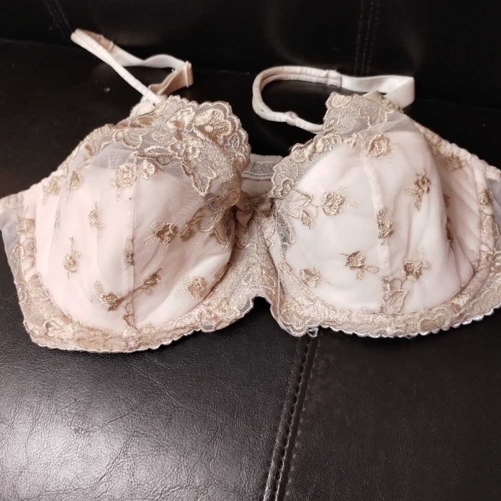 Elegant Lace Embroidered Bra